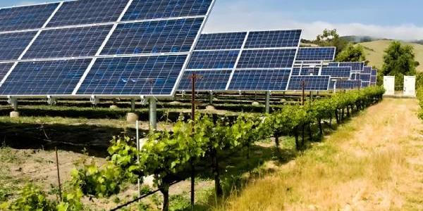 Las zonas rurales y la producción de energía renovable