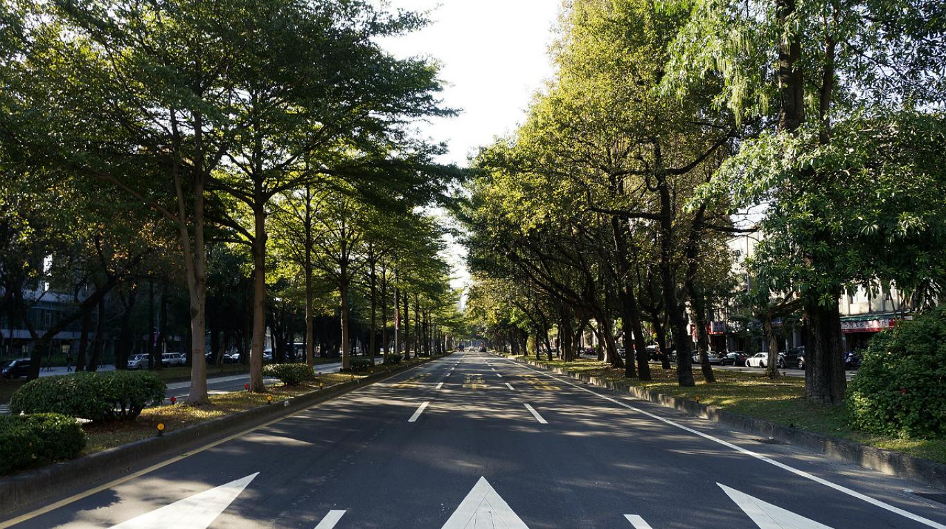 Más árboles significa ganar vida en las ciudades