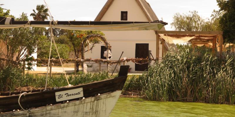 Albufera Valencia verde cianobacterias