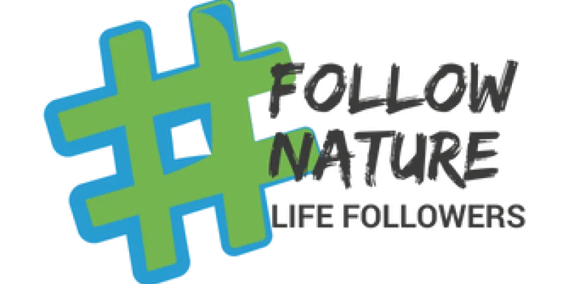 LIFE Followers