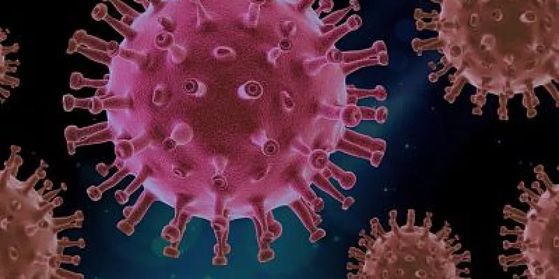 Virus COVID-19