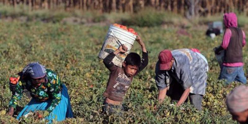 ODS 8. Trabajo decente y crecimiento económico.