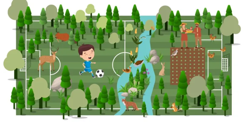 Infografía sobre un campo de fútbol