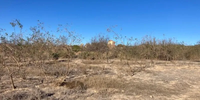Ejemplo de abandono de tierras agrícolas