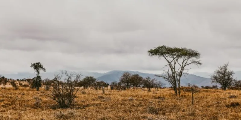 África