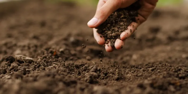agricultura regenerativa