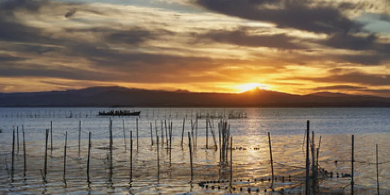 Albufera tienda a ser reserva de la biosfera