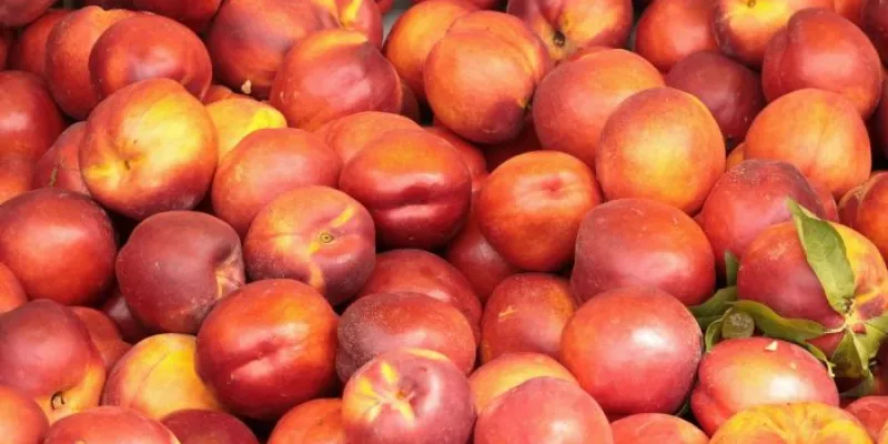nectarinas 