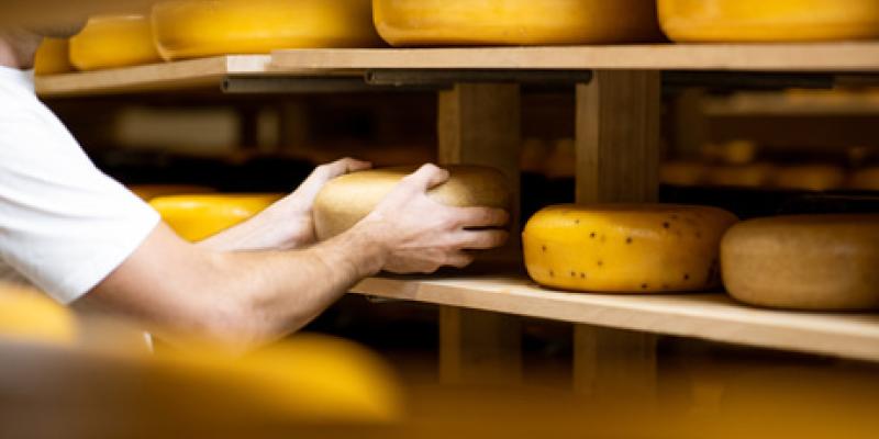 El queso es beneficioso para nuestro cerebro