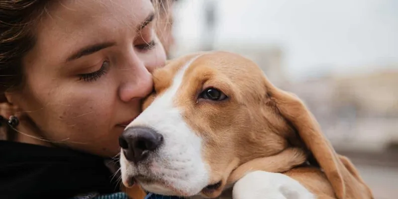 La relación con los animales ayudan al estado de ánimo