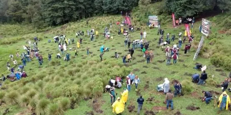 España restaurará con nuevos árboles la naturaleza
