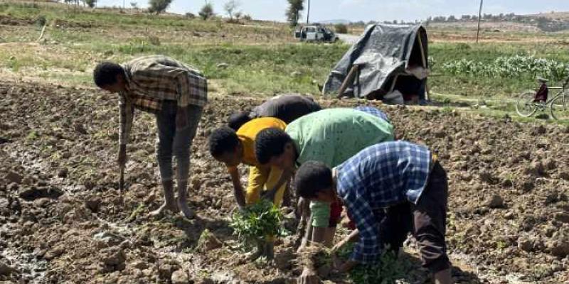 Personas con hambre en el campo