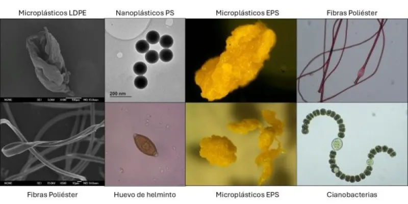 Diferentes fotografías de microcontaminantes que escapan a la depuración clásica