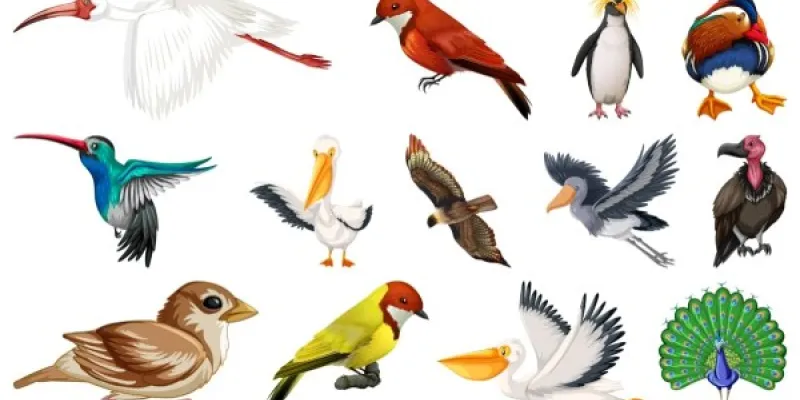 Algunas de las aves que corren peligro de extinción para el próximo siglo