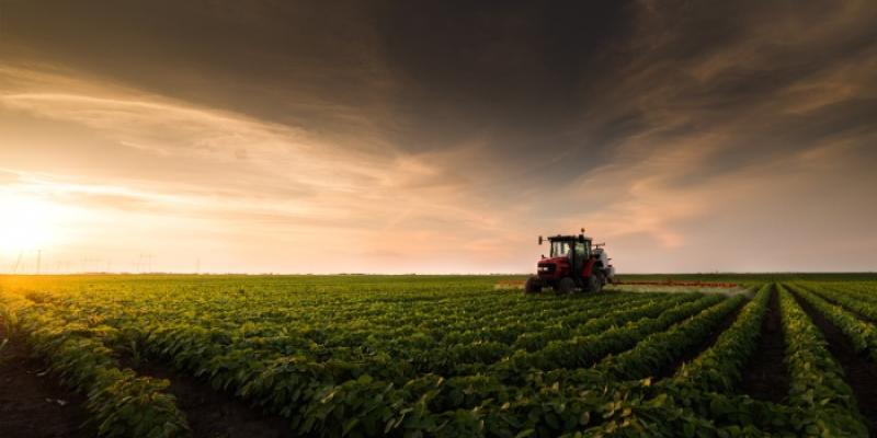 Tractor en terreno agrícola 