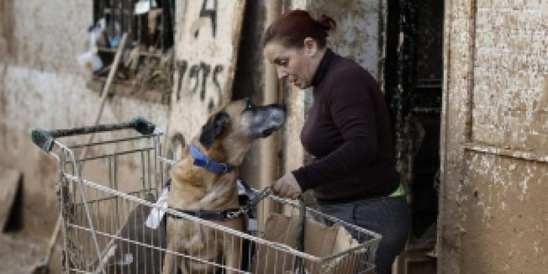 Mujer afectada por la DANA junto a su mascota