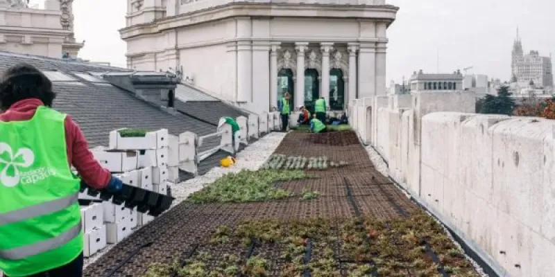 Instalación de una cubierta verde en el Palacio de Cibeles en 2018