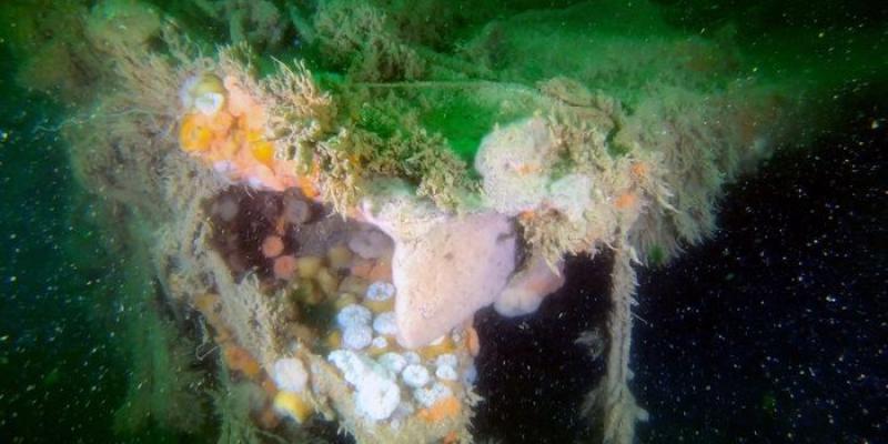 Barco de uno de los naufragios históricos