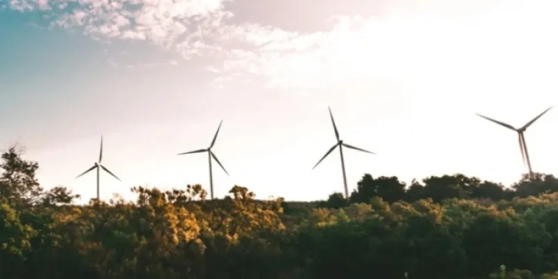 Molinos de viento