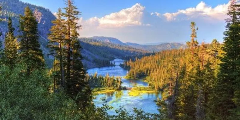 El Medio Ambiente lo forman todos los ecosistemas del planeta