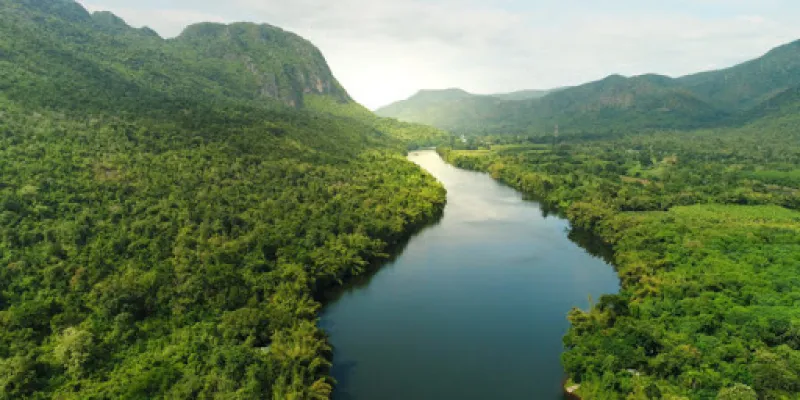 Proteger la naturaleza aporta más beneficios económicos que explotarla, según un estudio