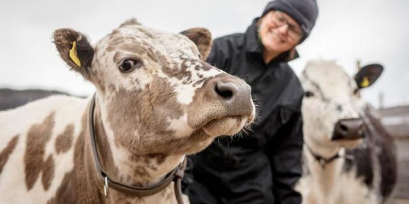 El vínculo humano-animal entra en la agenda europea