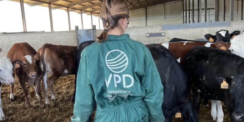 Mujer de espaldas trabajando en una granja de la startup conquense BigGuardian