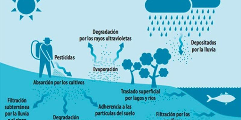 El ciclo de la bioacumulación en el planeta