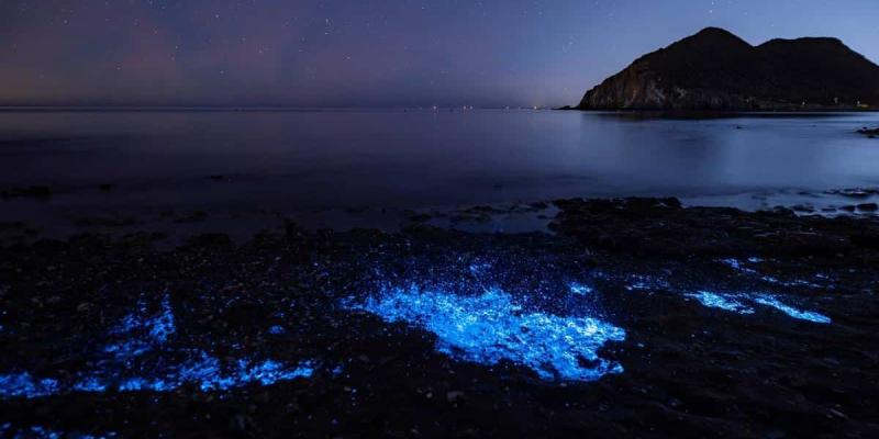 La bioluminiscencia marina y su influencia