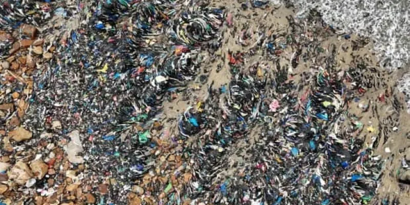Contaminación ambiental en el Black Friday