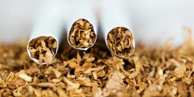 tabaco