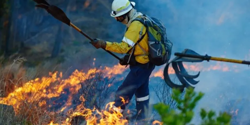 Precariedad laboral en los bomberos forestales