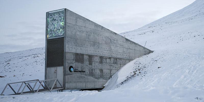 La Bóveda de Svalbard, refugio de semillas