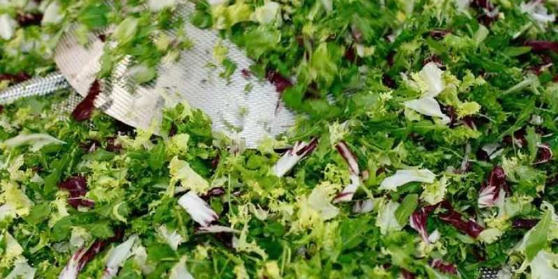 Los brotes de esta enfermedad suelen producirse por el consumo de frutas y verduras frescas contaminadas.