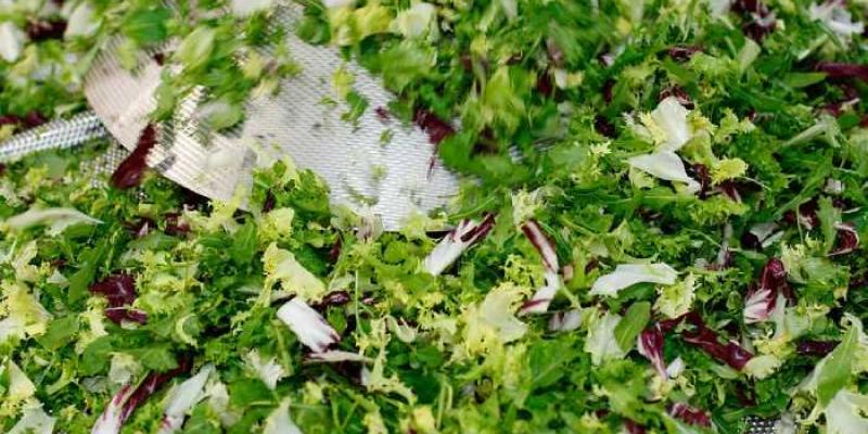 Los brotes de esta enfermedad suelen producirse por el consumo de frutas y verduras frescas contaminadas.