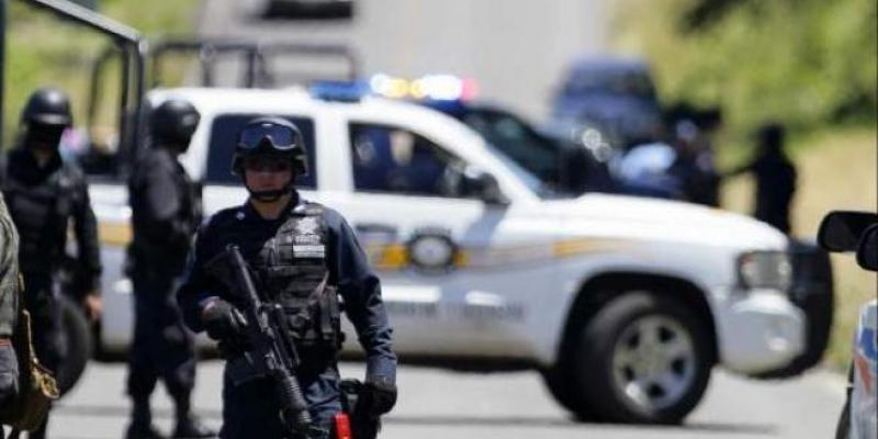 Policías federales en México foto de EFE