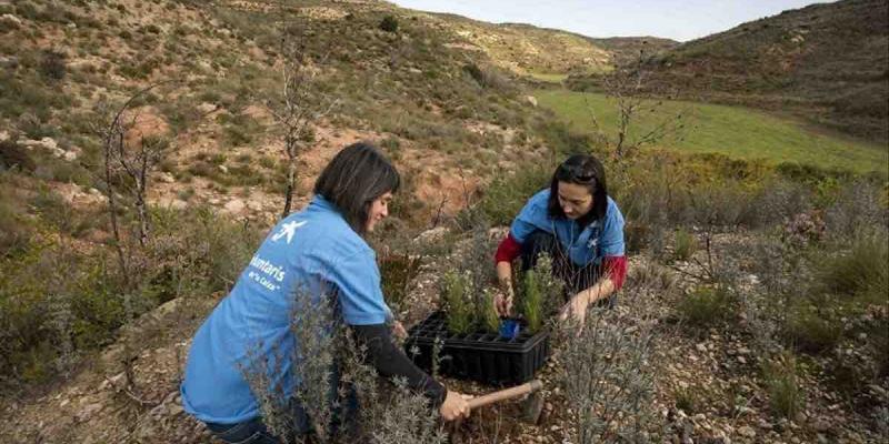 CaixaBank compensa sus emisiones de CO2 con un proyecto para proteger bosque amazónico