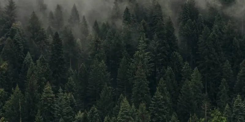 El cambio climático y el atraso del otoño