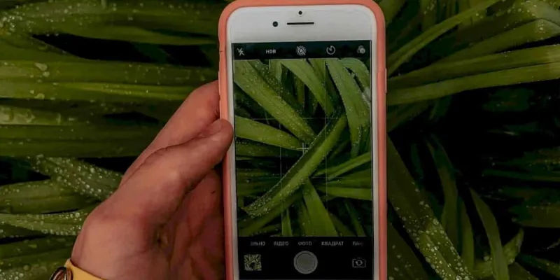 Valencia lanza una herramienta para cuidar su flora