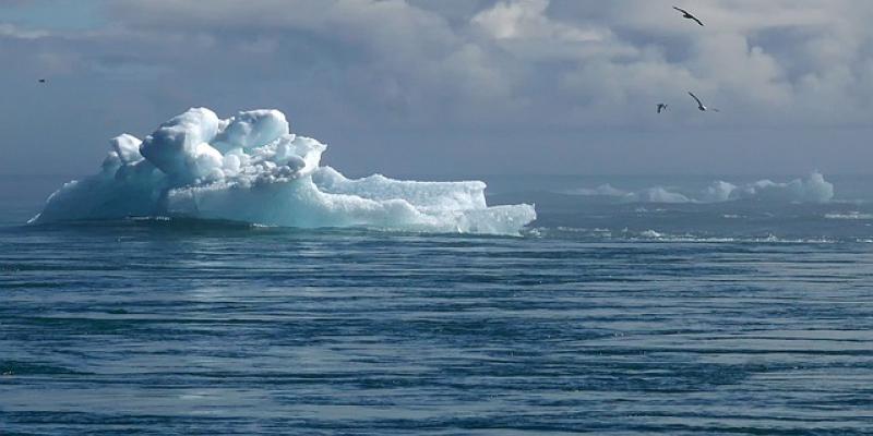 Impacto del cambio climático: reducción del 30 % de nutrientes marinos 