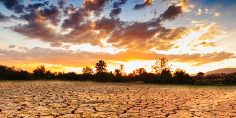 Terreno afectado por la sequía 
