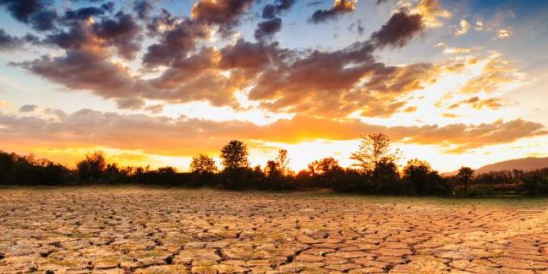 Terreno afectado por la sequía 