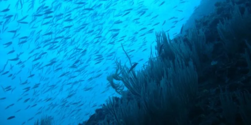 El cambio climático en los océanos