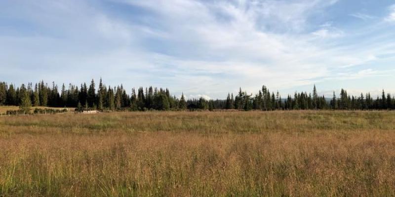 Tierra con zona para cultivo y bosque en Noruega 