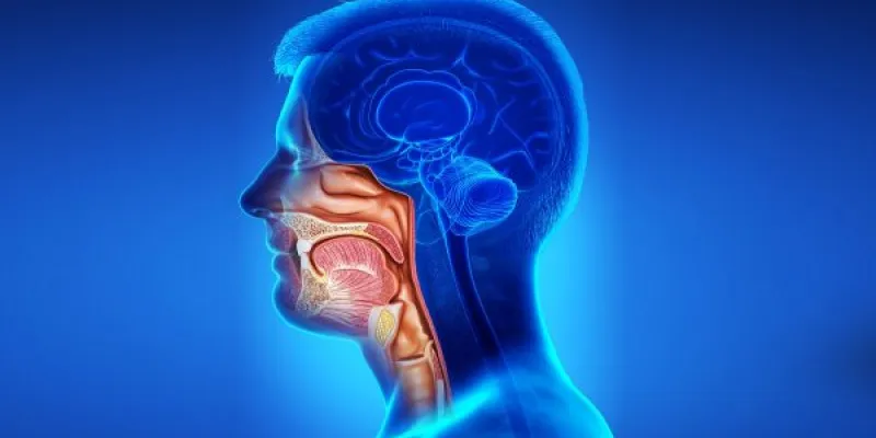Infografía sobre el cáncer de cabeza y cuello