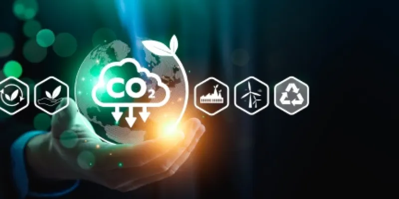 Infografía sobre la captura de carbono