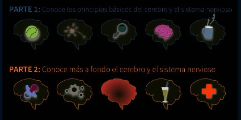 Mapa de la herramienta: Enamórate de tu cerebro. 