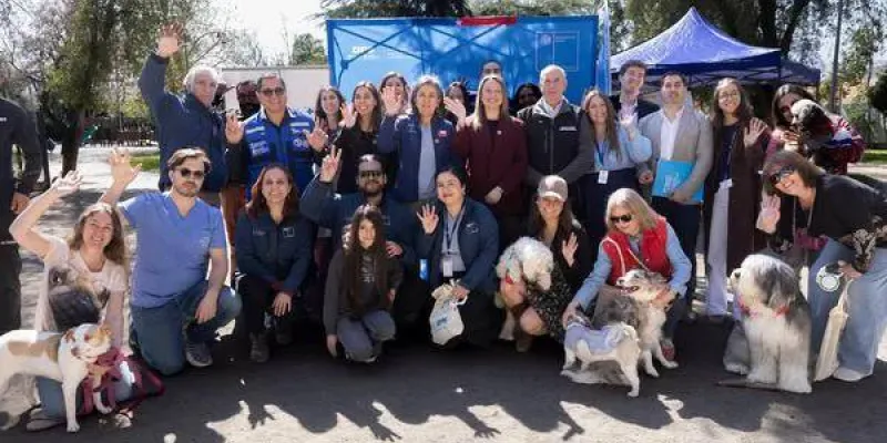 Chile erradica la rabia canina en humanos