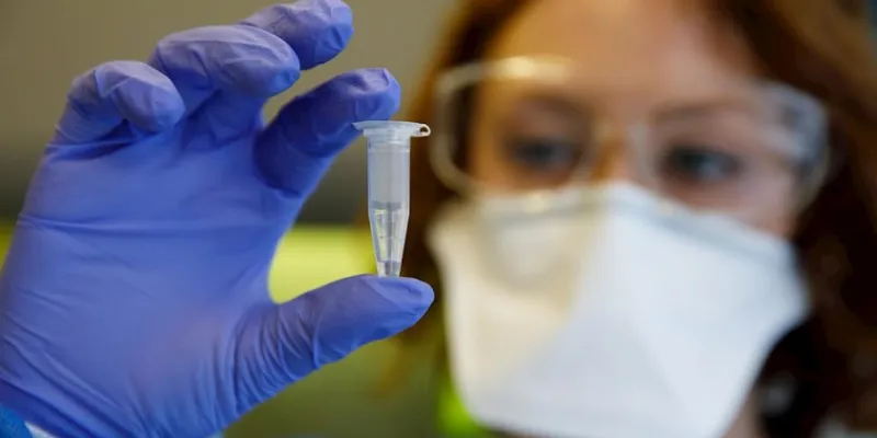Vacuna española contra el coronavirus, en la fase preclínica.