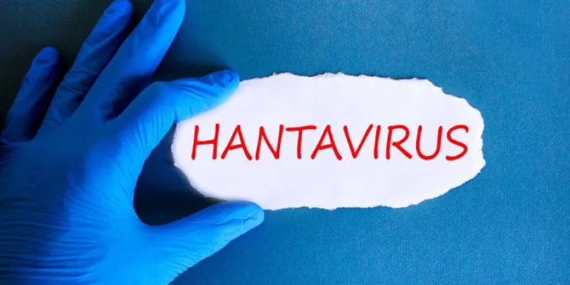 hantavirus asintomático